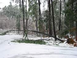 100-0003_IMG.jpg