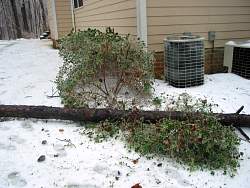 100-0005_IMG.jpg