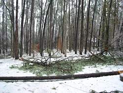 100-0006_IMG.jpg