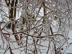100-0008_IMG.jpg