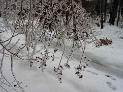 100-0009_IMG.jpg