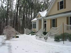 100-0010_IMG.jpg