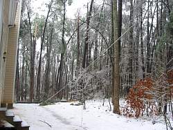 100-0013_IMG.jpg