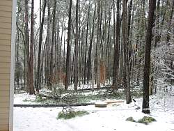 100-0014_IMG.jpg