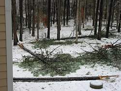100-0016_IMG.jpg