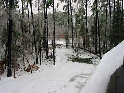 100-0020_IMG.jpg