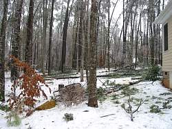 100-0021_IMG.jpg