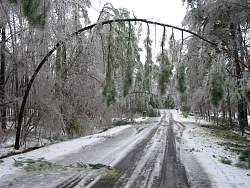 100-0022_IMG.jpg