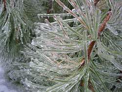 100-0025_IMG.jpg