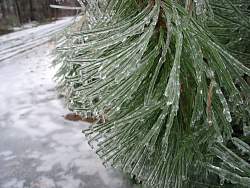 100-0026_IMG.jpg