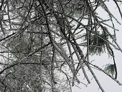 100-0027_IMG.jpg
