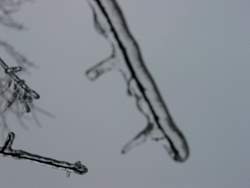100-0028_IMG.jpg