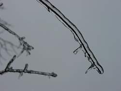 100-0029_IMG.jpg
