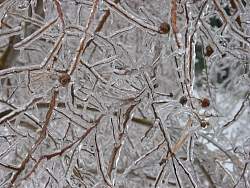 100-0031_IMG.jpg