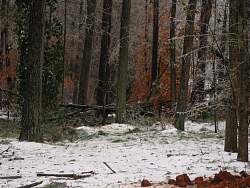 100-0036_IMG.jpg