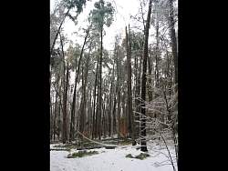 100-0037_IMG.jpg