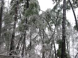 100-0039_IMG.jpg