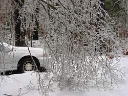 100-0040_IMG.jpg