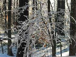 100-0042_IMG.jpg