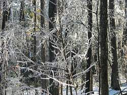 100-0043_IMG.jpg