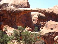 1ARC0449.jpg
