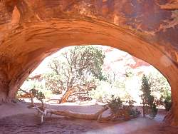 1ARC0509.jpg