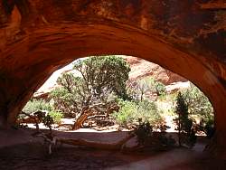 1ARC0519.jpg