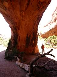 1ARC0529.jpg