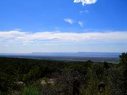 7GC0020.jpg