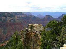 8GC0080.jpg