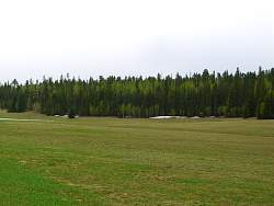 8GC0230.jpg