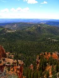 9BC0400.jpg