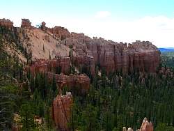 9BC0420.jpg