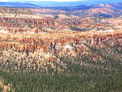 9BC0490.jpg