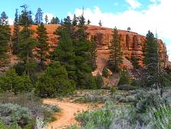 9RC0110.jpg