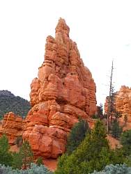 9RC0140.jpg