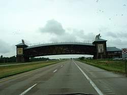 IMG_0107.JPG