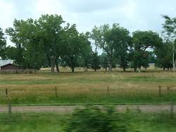 IMG_0108.JPG