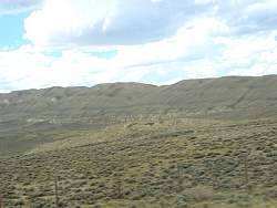 IMG_0121.JPG