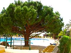 CIMG0831.jpg