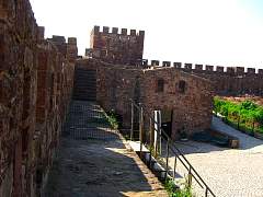 CIMG0844.jpg