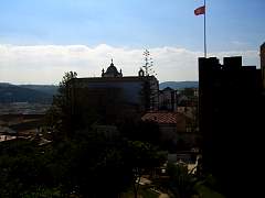 CIMG0845.jpg