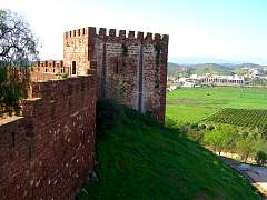 CIMG0850.jpg