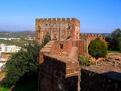 CIMG0853.jpg