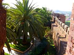 CIMG0854.jpg