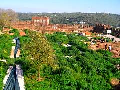 CIMG0856.jpg