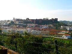 CIMG0861.jpg