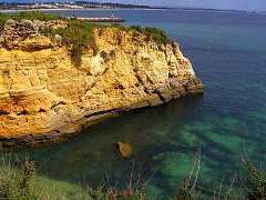 CIMG0865.jpg