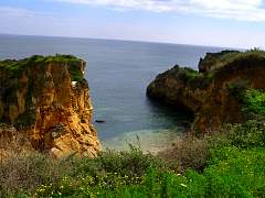 CIMG0868.jpg