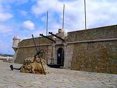 CIMG0869.jpg